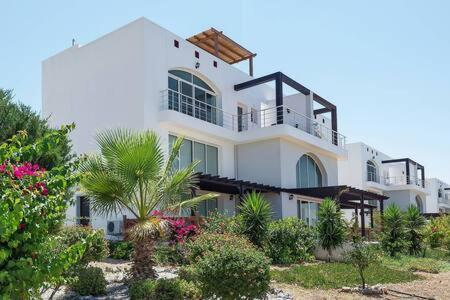 Joya Cyprus Mermaid Penthouse Apartment Agios Amvrosios  Exterior foto